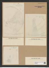 Coscinodiscus excavatus var. semilunaris Grun. (de-Toni-Nr.: Genus 202, Species 4988) Zeichnungen Sammlung Grunow Nr. 8606 (NHMW-BOT-W0378267)